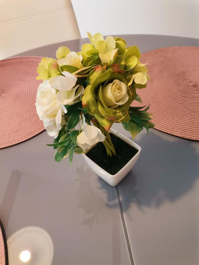Dine Apartment 두브로브니크 외부 사진